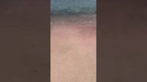 Elafonissi Beach Pink Sand Snaphot