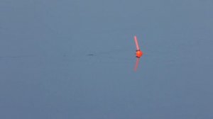 Рыбалка в протоке Узенькая