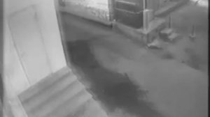 видео с камер