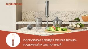 Погружной блендер Grundig Delisia Novus