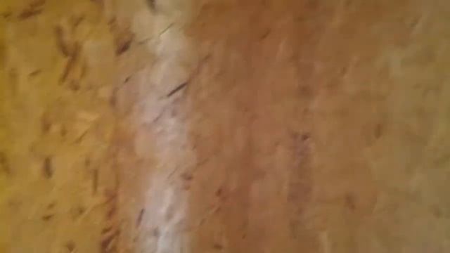 Строительство домов под ключ Анучино, Приморский край смотреть онлайн