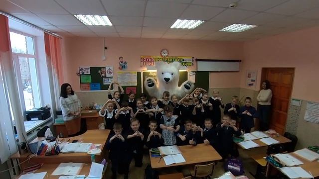 Белый медведь в подарок на день рождения