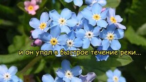 Незабудка Легенды