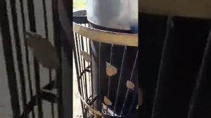 Печь из трубы 426мм