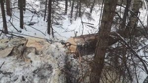 МТЗ 82.1 и Т40АМ Заготовка дров.