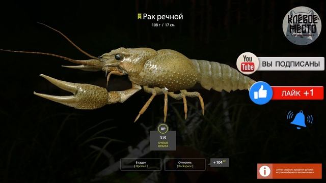 Русская рыбалка 4 - Фарм серебра | Рак р. Вьюнок |- рр4 добыча наживки троф рак вьюнок
