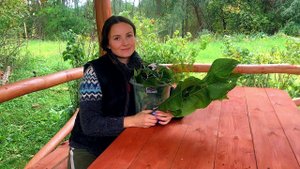 НАГРУЗКА НА ДЕРЕВЕНСКИЕ ПЛЕЧИ ПРОДОЛЖАЕТСЯ. ПЛАНЫ НА ХОЗЯЙСТВО И САМЫЕ ВКУСНЫЕ СОЛЕНЫЕ ОГУРЦЫ. ФЕРМА
