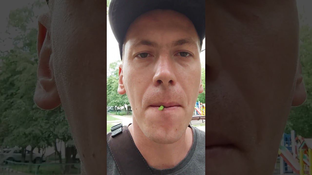 Свистульки из караганы (жëлтой акации). Умеете делать?  #свистульки #карагана #лето #Мяснов смотреть онлайн