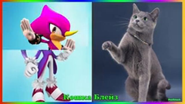 Персонажи Соника в Реальной Жизни! Sonic! смотреть онлайн