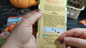 Кто на МАЛЕНЬКОГО? Томаты детерминантных и балконных сортов на 2022 год для балкона и подоконника