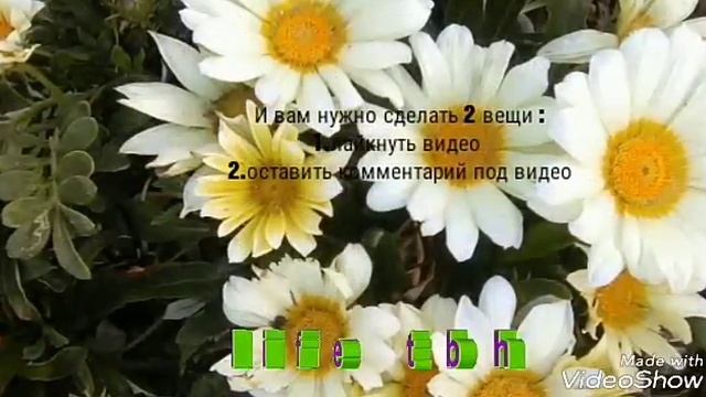 День приветов ! смотреть онлайн