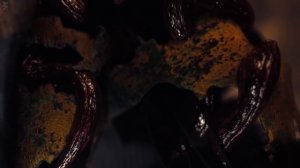 Springtrap - I always come back [FNAF] The Perfect Girl