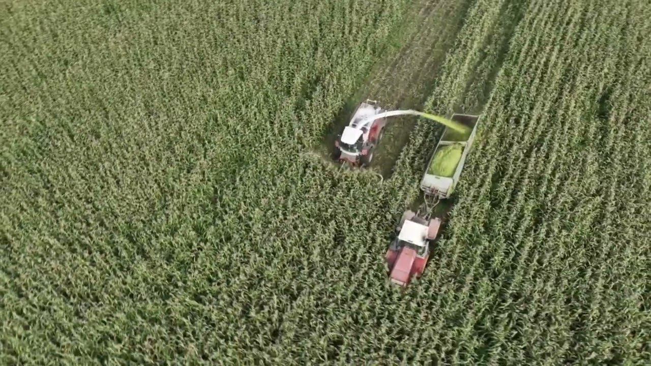 Заготовка кормов... смотреть онлайн