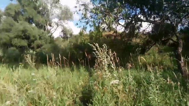 Газ 3307 опыление гречехи смотреть онлайн