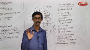 TN 11th Std Biology || Plant Physiology || New Syllabus - 2018 || Unit V Ch 11 || Part  10 || VOL 2