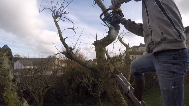 Makita EA3201S Chainsaw | TRC Show and Tell