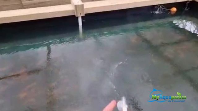 Sandponics - Is This The Most Beautiful System In The World? смотреть онлайн