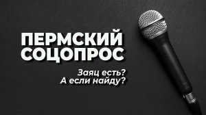 Пермский соцопрос: оправдано ли повышение штрафа за безбилетный проезд?