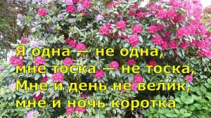 ПОДАРИ МНЕ ПЛАТОК Караоке на баяне