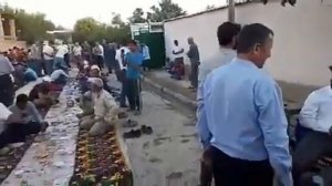 Туй дар Болшавек