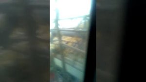 Уборка подсолнечника на АКРОС 530