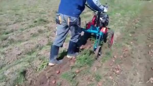 ККМ-1 картофелекопалка механическая