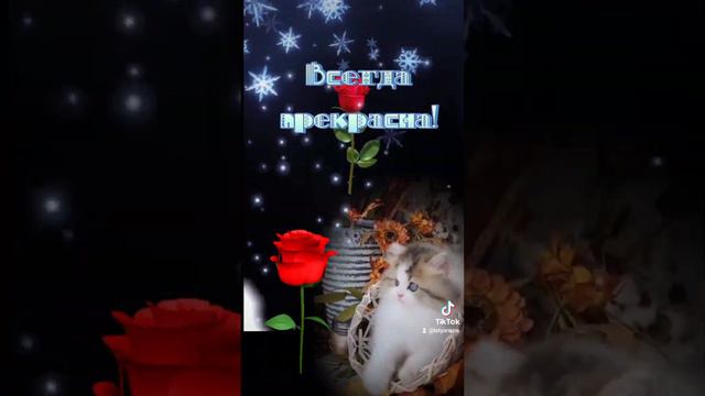 Добрый вечер всем 🥰отличного отдыха и приятных встреч 🥰🥰🥰 смотреть онлайн