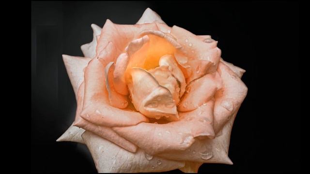 Красивые фото природы, цветов, пейзажей для Flickr, 1, 7 млн просмотров на Flickr по всему миру смотреть онлайн