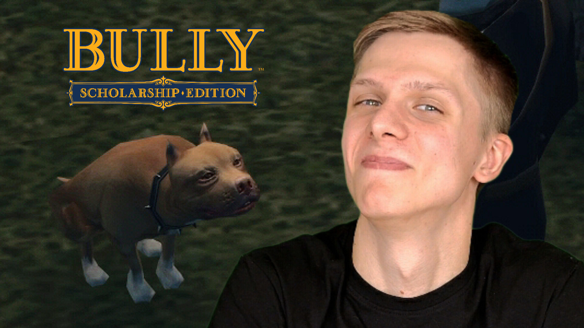 вылетает bully scholarship edition на windows 10 steam фото 42