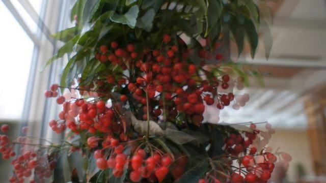 Sony NEX 3 Test Pictures смотреть онлайн