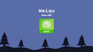 Weqiu VM - обзор