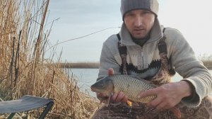 РЫБАЛКА НА ФИДЕР И ПОПЛАВОЧНУЮ УДОЧКУ!! ПАТЕРНОСТЕР СРАБОТАЛ!!