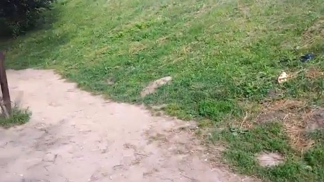 Митино Вокаут. Как мы строили турник Часть 2 смотреть онлайн