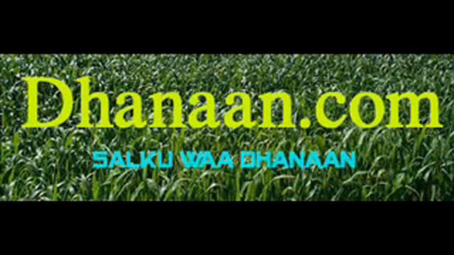 Kismaayo awood baa nalooga soo saaray смотреть онлайн