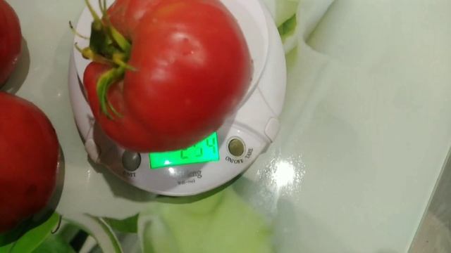 Этот томат,как спелая, сладкая клубничка, оказался вкуснее, чем томат Батяня. смотреть онлайн