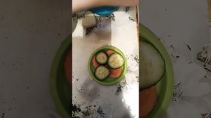 Моё первое видео про улиток ахатин