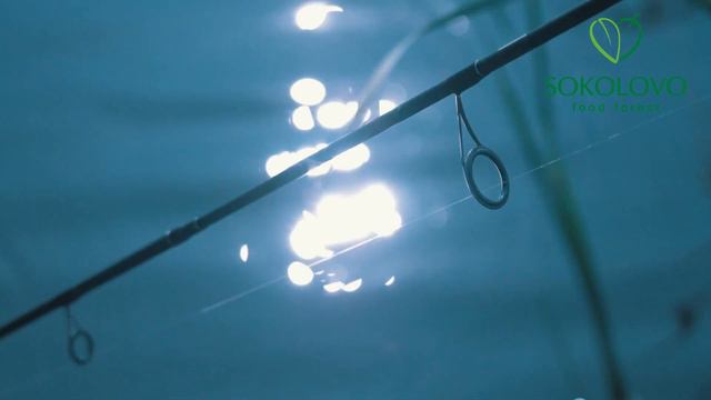 Щука на органической ферме Sokolovo Food Forest смотреть онлайн