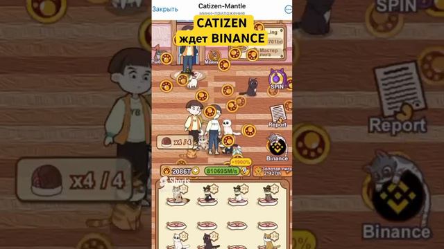 CATIZEN будет листиться на бинанс - еще есть время зайти в проект #catizen #binance #notcoin