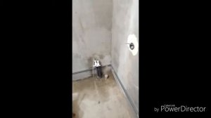 Кладем плитку ## учимся ## кафель  # как класть плитку## стройка##  как зделать самому ##