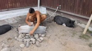 Черничная страна или "фишка" канала "Черничный хутор". Веселые и позитивные видеосюжеты