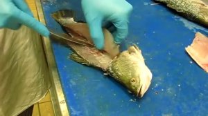 Разделка рыбы. Филетирование баррамунди