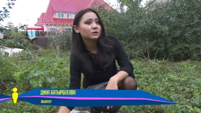 Герои рядом. Бездомные животные. Казахстан. смотреть онлайн