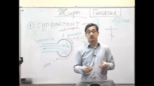 Главная функция жиров. Гипоксия.