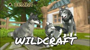 Первый раз в WildCraft