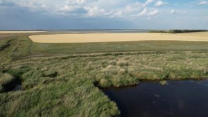 Шербакульский район ? оз. Малый и Большой Ащикуль, Омская область