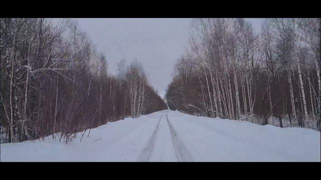 Охота. Кабан. Засидка.Ветер сносит.  2023.
