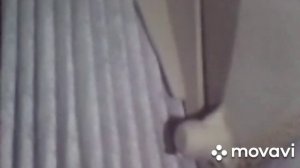 КАК ПРОДЛИТЬ ЖИЗНЬ САЛОННОМУ ФИЛЬТРУ НА ТОЙОТЕ КОРОЛЛЕ Е 150