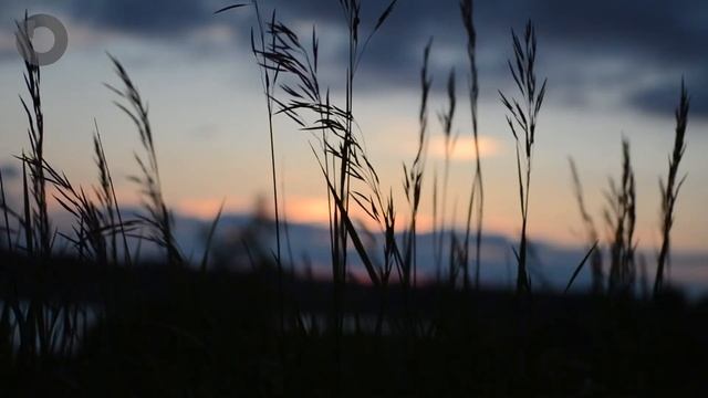 Музыка ветра. Музыка для медитации и йоги. Know YOURSELF! Познай СЕБЯ! смотреть онлайн