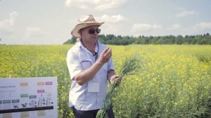 Технология выращивания ярового рапса в Кировской области от Группы "Уралхим"