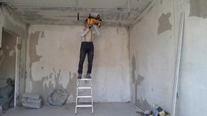 DeWalt DCN890